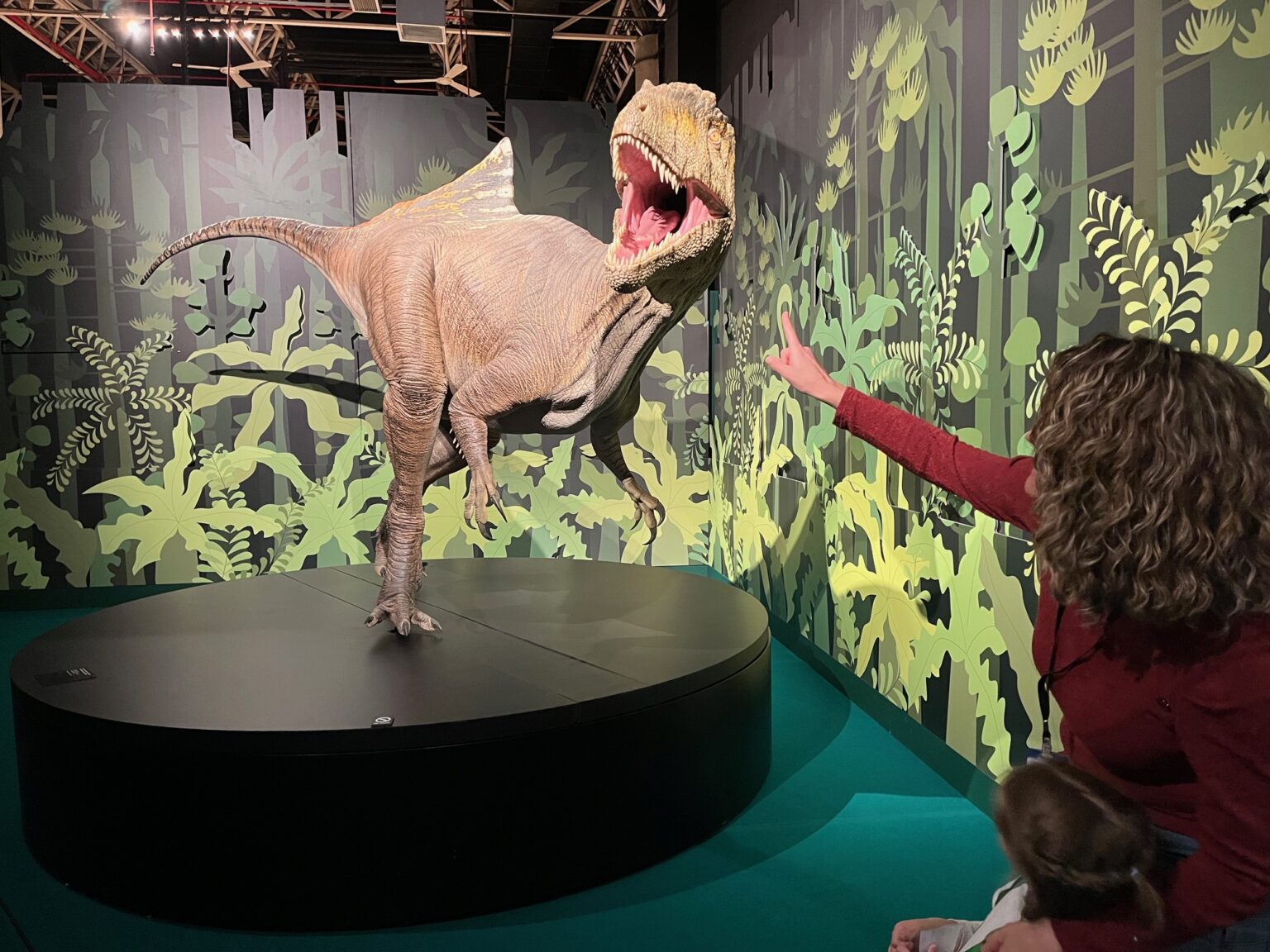 Cazadores de dragones: exposición de dinosaurios