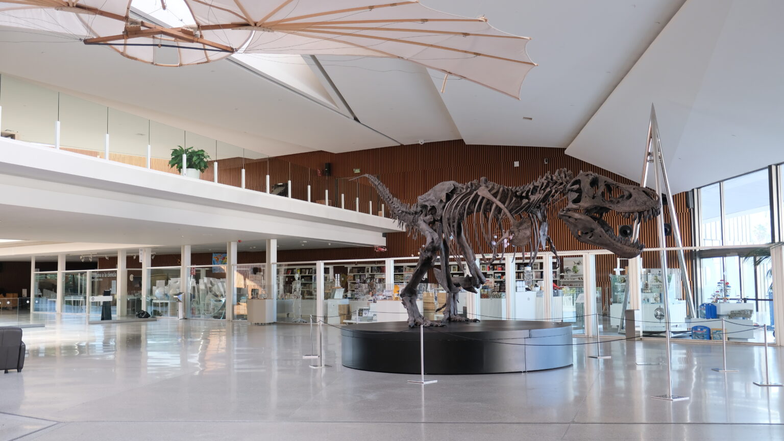 Cazadores de dragones: exposición de dinosaurios